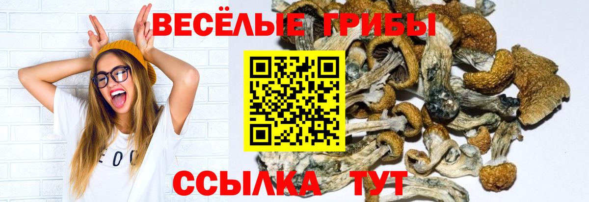 Галлюциногенные грибы мицелий Медногорск