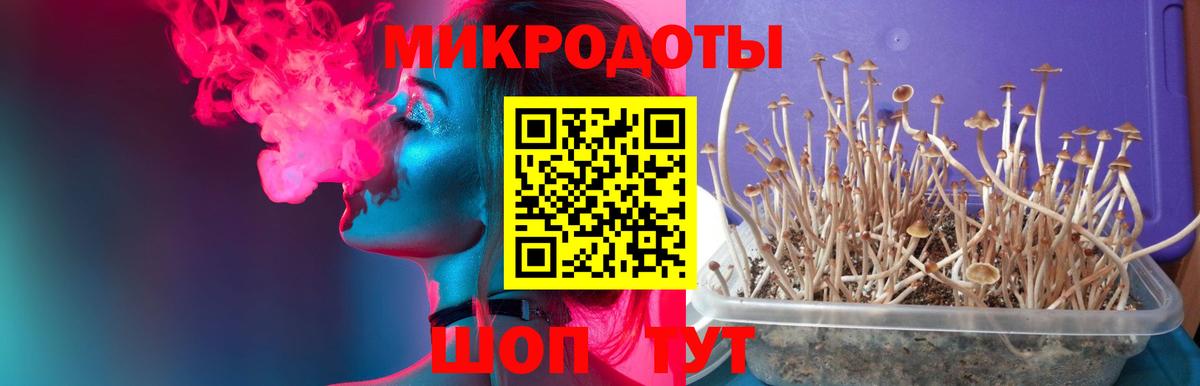 Галлюциногенные грибы мицелий  Вход с VPN  Галлюциногенные грибы GOLDEN TEACHER  Медногорск 